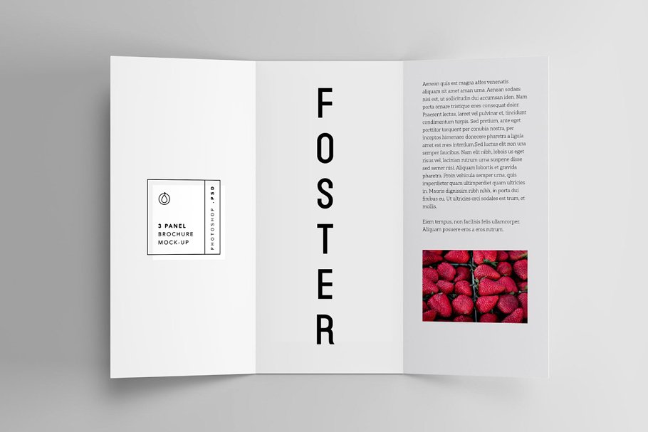 Foster Black Font preview